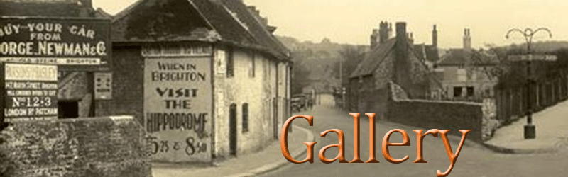 Gallery: shows